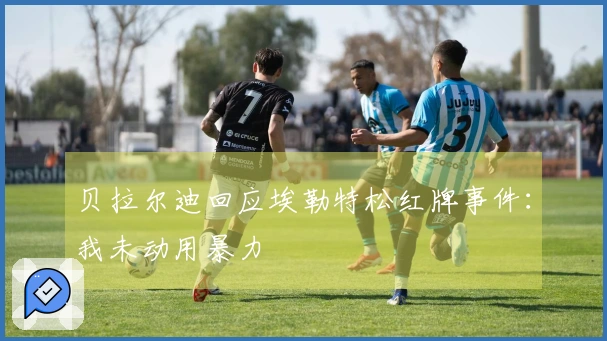 贝拉尔迪回应埃勒特松红牌事件：我未动用暴力