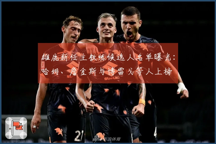雄鹿新任主教练候选人名单曝光：哈姆、詹金斯与博雷戈等人上榜