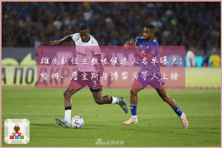 雄鹿新任主教练候选人名单曝光：哈姆、詹金斯与博雷戈等人上榜