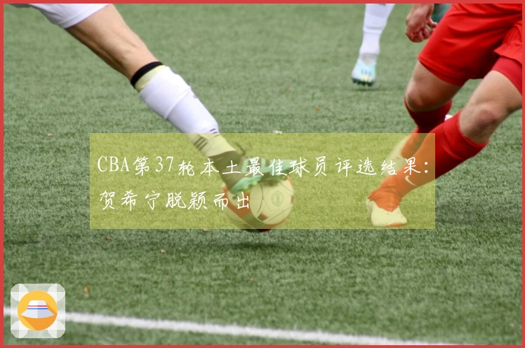 CBA第37轮本土最佳球员评选结果：贺希宁脱颖而出