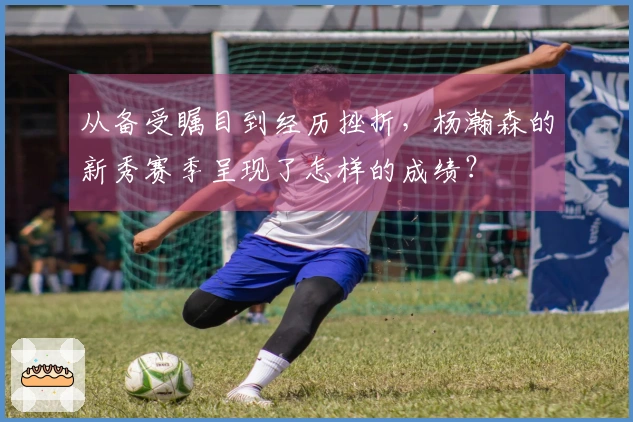 从备受瞩目到经历挫折，杨瀚森的新秀赛季呈现了怎样的成绩？